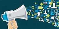 Job Board Software Services